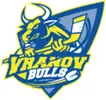 HC Vranov Bulls